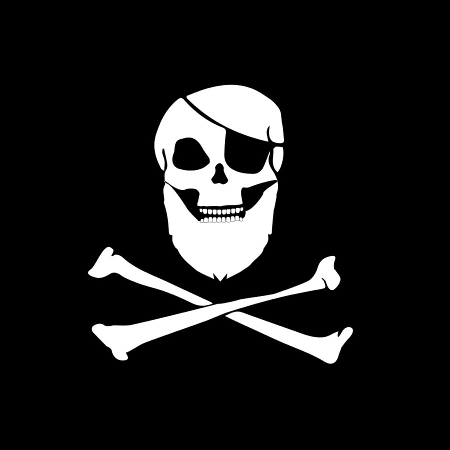 The Piratentum mark on its own, as used for the Instagram profile picture