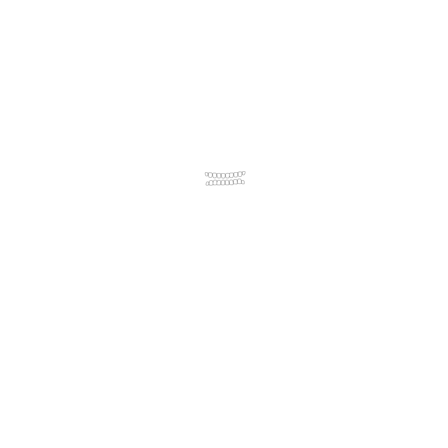 Das Piratentum logo — skull with eyepatch and beard over crossed bones, above the DAS PIRATENTUM wordmark